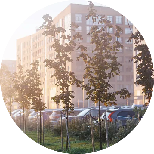 Ещё больше парковочных мест
